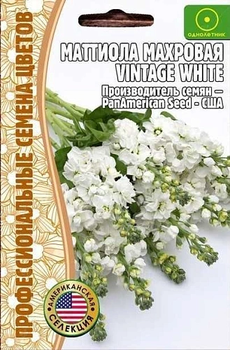 Маттиола Vintage White махровая однолетник, 5 шт (Ред.Сем) Маттиола Vintage White махровая однолетник, 5 шт (Ред.Сем)