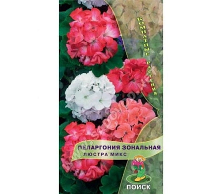 Пеларгония зональная Люстра микс F1 5 шт Пеларгония зональная Люстра микс F1 5 шт