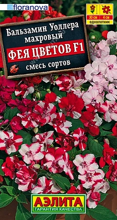 Бальзамин Фея цветов F1 махровый, 5 шт Бальзамин Фея цветов F1 махровый, 5 шт