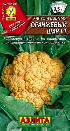 Капуста цветная Оранжевый шар F1, 5 шт (АЭЛИТА) Капуста цветная Оранжевый шар F1, 5 шт (АЭЛИТА)