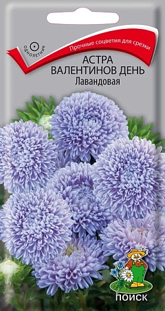 Астра Валентинов день Лавандовая 0,2 г