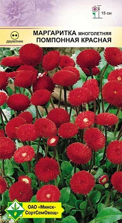 Маргаритка многолетняя Помпонная красная, 0,05 г (МССО) Маргаритка многолетняя Помпонная красная, 0,05 г (МССО)