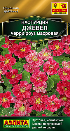 Настурция Джевел черри роуз махровая, 4 шт (Аэлита) Настурция Джевел черри роуз махровая, 4 шт (Аэлита)