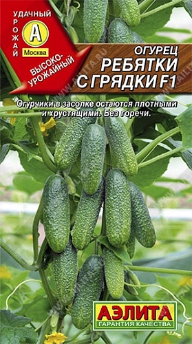 Огурец Ребятки с грядки F1, 10 шт (Аэлита) Огурец Ребятки с грядки F1, 10 шт (Аэлита)
