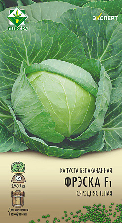 Капуста белокочанная Фреско F1, 12 шт (Эксперт) (МССО)