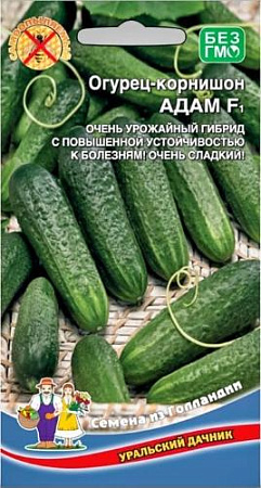 Огурец-корнишон Адам F1 (УД) Огурец-корнишон Адам F1 (УД)