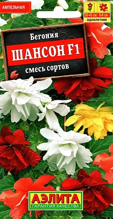 Бегония ампельная Шансон F1, смесь 10 шт (АЭЛИТА)