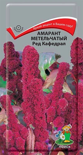 Амарант метельчатый Ред Кафедрал 0,1 г Амарант метельчатый Ред Кафедрал 0,1 г