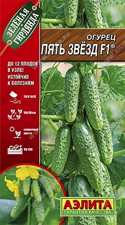 Огурец Пять звезд F1, 10 шт (Аэлита)