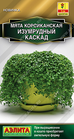 Мята корсиканская Изумрудный каскад, 3 шт (Аэлита)