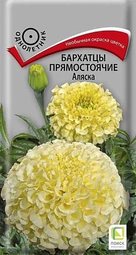 Бархатцы Аляска прямостоячие 0,4 г (Поиск) Бархатцы Аляска прямостоячие 0,4 г (Поиск)