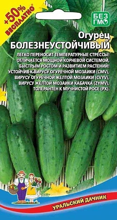 Огурец Болезнеустойчивый (УД)