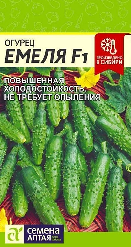 Огурец Емеля F1, 5 шт (Сем Алт) Огурец Емеля F1, 5 шт (Сем Алт)