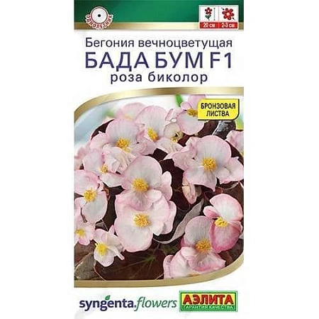 Бегония Бада бум F1 роза биколор, 5 шт (Аэлита)