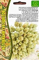 Канареечник Канарский Коллекция сухоцветов однолетник, 0,2 г (Ред.Сем) Канареечник Канарский Коллекция сухоцветов однолетник, 0,2 г (Ред.Сем)