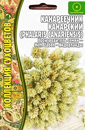 Канареечник Канарский Коллекция сухоцветов однолетник, 0,2 г (Ред.Сем) Канареечник Канарский Коллекция сухоцветов однолетник, 0,2 г (Ред.Сем)