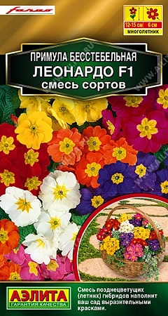 Примула бесстебельная Леонардо F1, смесь сортов 7 шт