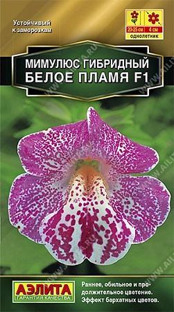 Мимулюс Белое пламя F1, 10 шт