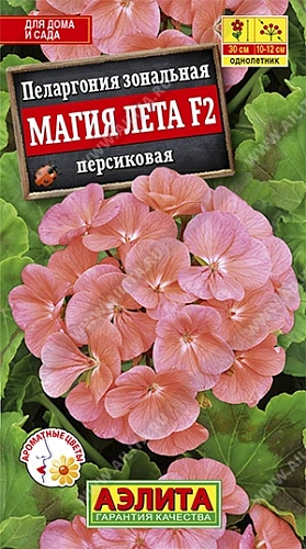 Пеларгония Магия лета F2 персиковая, 5 шт (Аэлита) Пеларгония Магия лета F2 персиковая, 5 шт (Аэлита)
