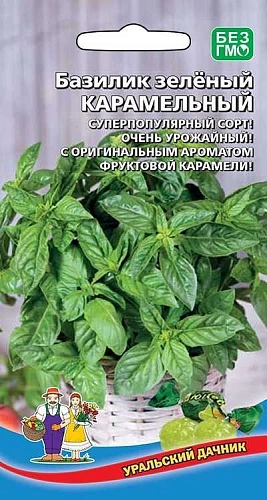 Базилик Карамельный 0,15 г зеленый (УД) Базилик Карамельный 0,15 г зеленый (УД)