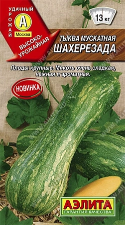 Тыква мускатная Шахерезада,1 г (АЭЛИТА)
