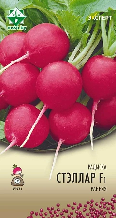 Редис Стеллар F1, 1 г (Эксперт) (МССО)