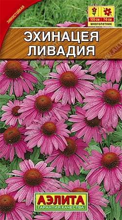 Эхинацея Ливадия 0,3 г (АЭЛИТА) Эхинацея Ливадия 0,3 г (АЭЛИТА)