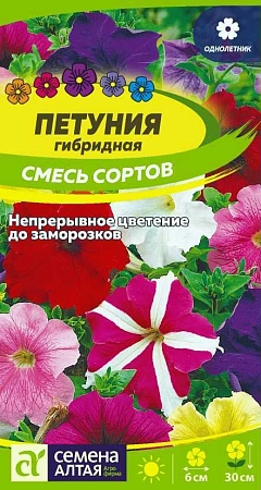 Петуния гибридная смесь 0,1 г Петуния гибридная смесь 0,1 г