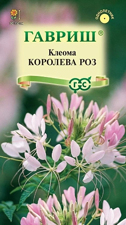 Клеома Королева роз однолетник, 0,2 г (Гавриш) Клеома Королева роз однолетник, 0,2 г (Гавриш)