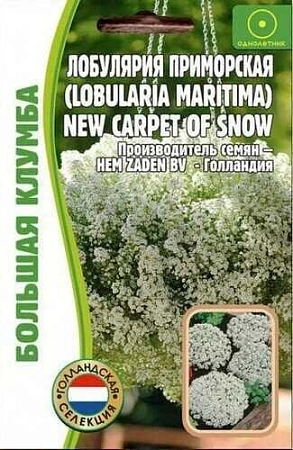 Лобулярия New Carpet of Snow Большая клумба однолетник, 500 шт (Ред.сем)