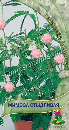Мимоза Стыдливая 0,3 г Мимоза Стыдливая 0,3 г