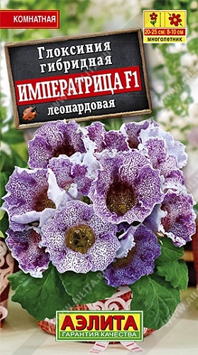 Глоксиния Императрица F1 леопардовая, 5 шт Глоксиния Императрица F1 леопардовая, 5 шт