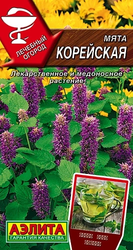 Мята Корейская 0,05 г (АЭЛИТА) Мята Корейская 0,05 г (АЭЛИТА)