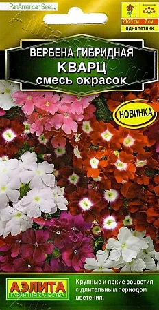 Вербена Кварц, смесь сортов 7 шт (АЭЛИТА)
