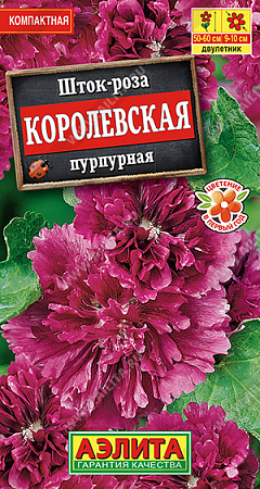 Шток-роза Королевская пурпурная, 10 шт (Аэлита)
