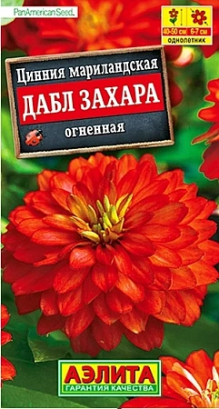 Цинния Дабл Захара огненная, 5 шт (АЭЛИТА)