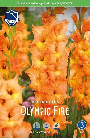 Гладиолус Olympic Flame/ Fire, 10 шт (Lefeber)