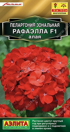 Пеларгония Рафаэлла F1 алая, 5 шт (Аэлита)