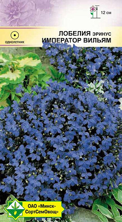 Лобелия эринус Император Вильям, 0,05 г (МССО) Лобелия эринус Император Вильям, 0,05 г (МССО)
