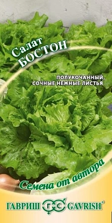 Салат Бостон 0,5 г Салат Бостон 0,5 г