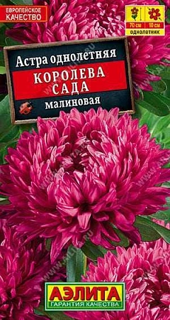 Астра Королева сада малиновая 0,2 г (АЭЛИТА) Астра Королева сада малиновая 0,2 г (АЭЛИТА)