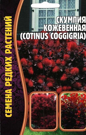 Скумпия кожевенная, 20 шт (Ред сем)
