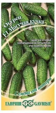Огурец Могучая кучка F1, 10 шт (ГАВРИШ)