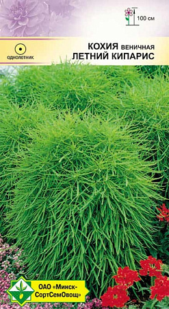 Кохия веничная Летний кипарис, 0,5 г (МССО) Кохия веничная Летний кипарис, 0,5 г (МССО)