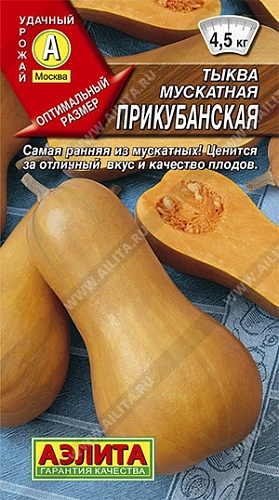 Тыква мускатная Прикубанская, 2 г (АЭЛИТА) Тыква мускатная Прикубанская, 2 г (АЭЛИТА)