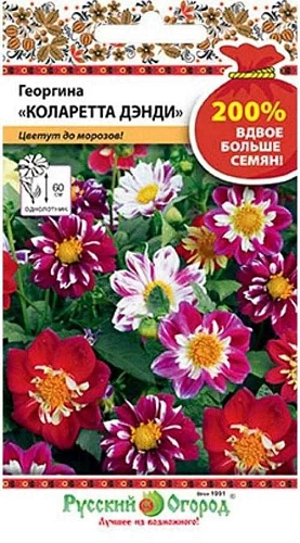Георгина Коларетта Дэнди смесь 200% однолетник, 0,4 г (НК) Георгина Коларетта Дэнди смесь 200% однолетник, 0,4 г (НК)