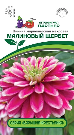 Цинния Малиновый щербет (5 шт), 2-ной пак. (ПАРТНЕР)