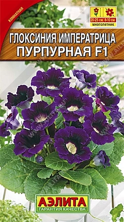 Глоксиния Императрица F1 пурпурная, 5 шт Глоксиния Императрица F1 пурпурная, 5 шт