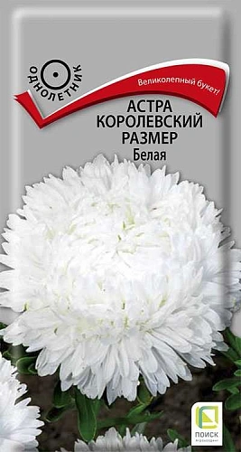 Астра королевский размер белая 0,1 г (Поиск) Астра королевский размер белая 0,1 г (Поиск)