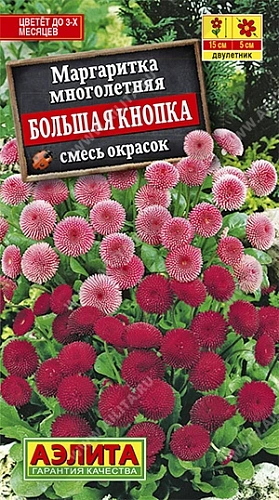 Маргаритка Большая кнопка, 0,03 г Маргаритка Большая кнопка, 0,03 г